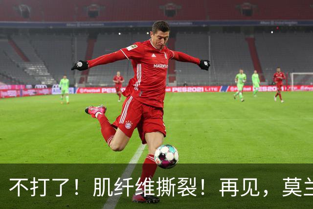 不打了！肌纤维撕裂！再见，莫兰特